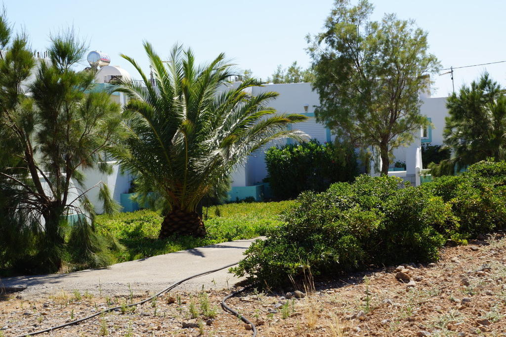 Notos Villas Frangokastello Camera foto